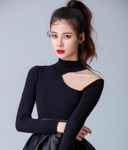 赵昭仪最新爆料视频,最新爆料视频深度解析